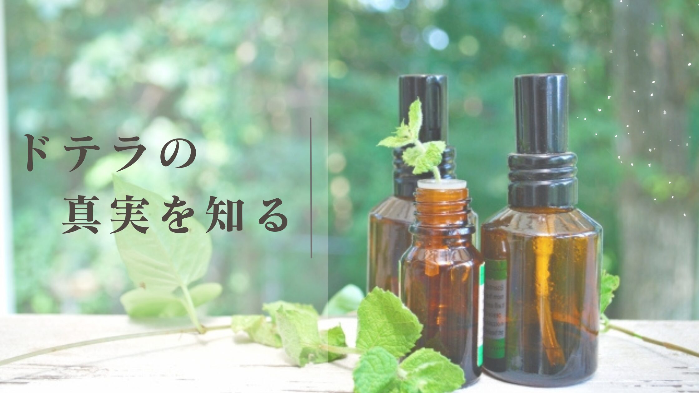 ドテラが怪しい？やばい？ドテラの怪しさの原因と真相を詳しく解説